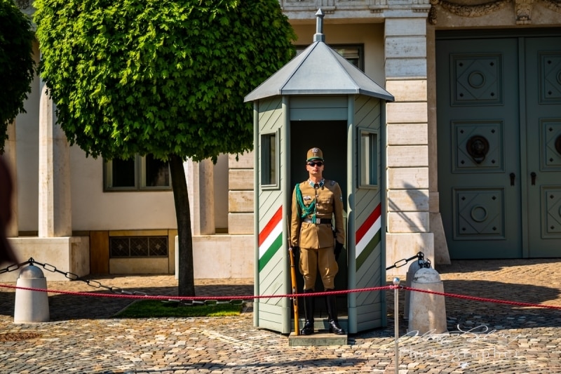 Presidential Palace Guard, Budapest, 2018