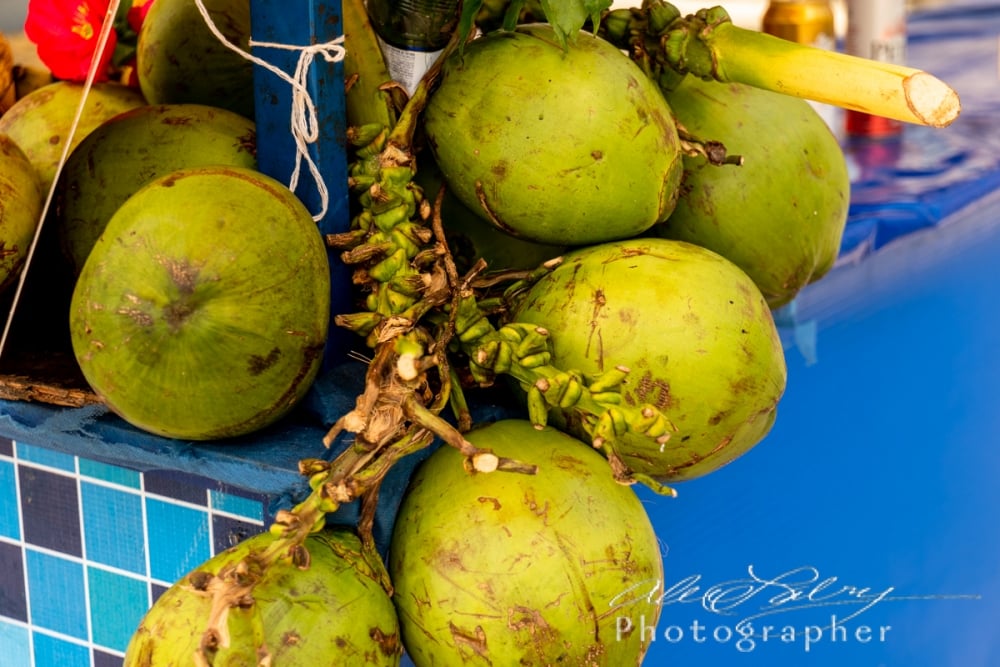 Coconuts for Sale, Salvador de Bahia