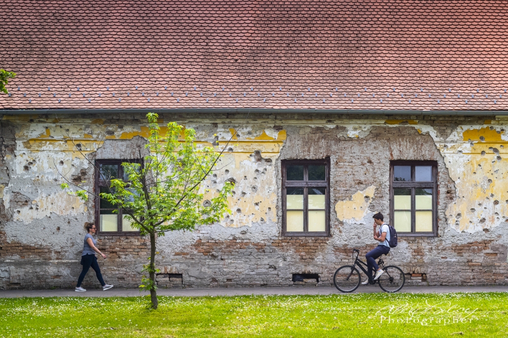 Unrestored Public Building, Vukovar, Croatia