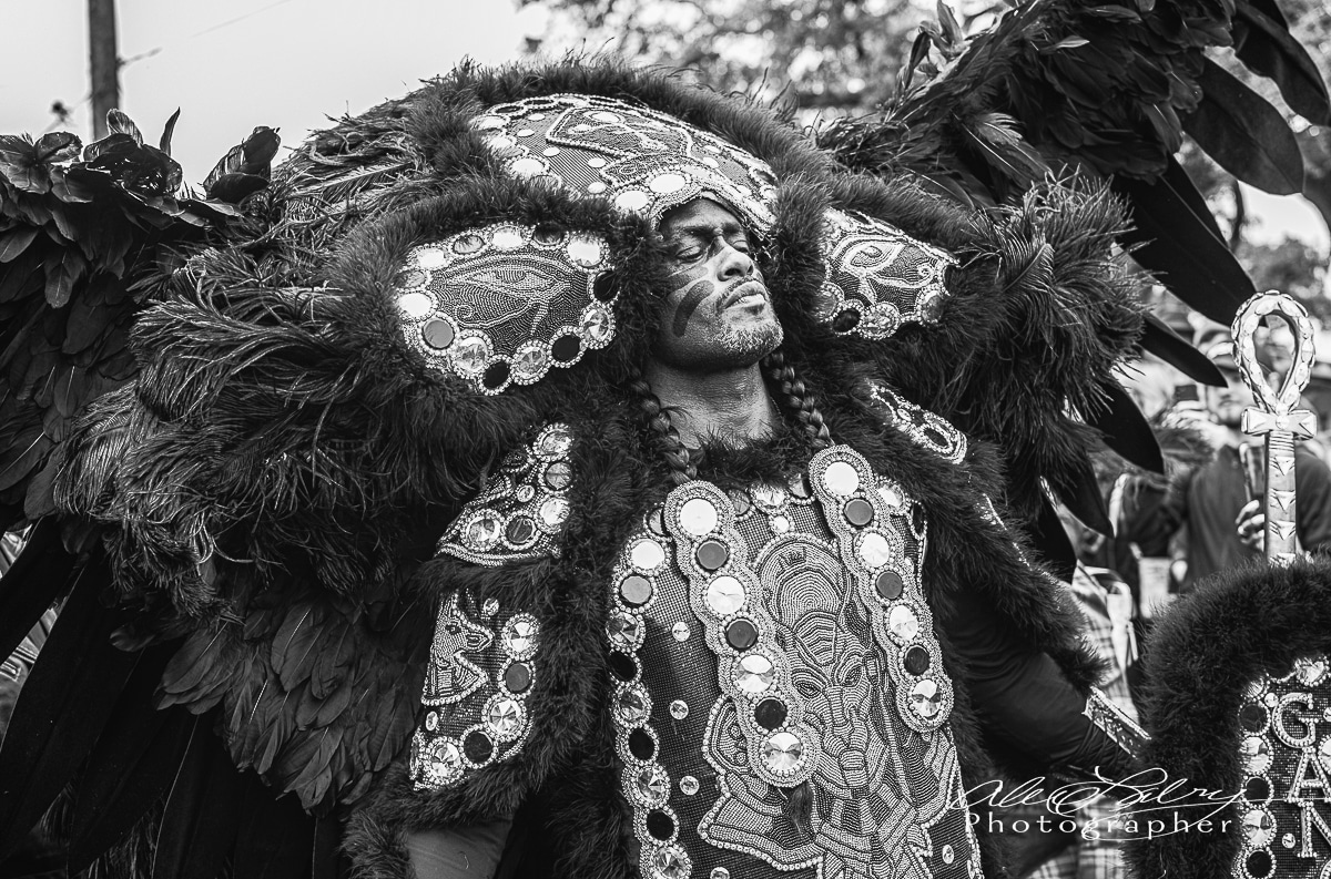 Mardi Gras Indian, "Strut", New Orleans, 2023