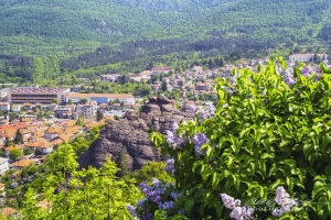 Vidin Bulgaria Vidin Bulgaria