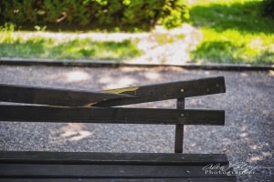 Park Bench, Vidin Bulgaria Park Bench, Vidin Bulgaria