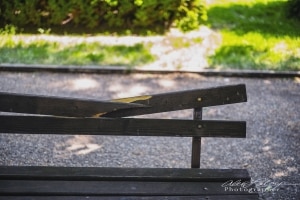 Park Bench, Vidin Bulgaria