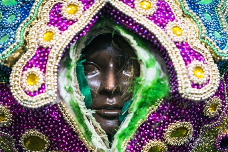 Mardi Gras Indian Costume, New Orleans, 2017